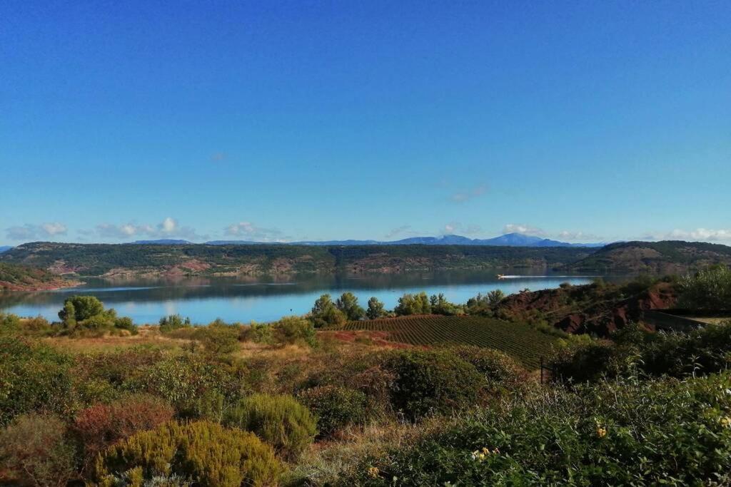 Studio 32M2 - Dans Propriete Avec Vue Imprenable Sur Le Lac Du Salagou Liausson Экстерьер фото